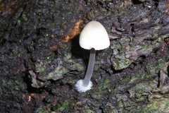 CMechteld, oktober 2012