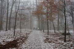 dec 2010 bomenkaplijst vvhh