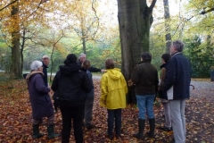 Paddenstoelenexcursie 10 nov 2012