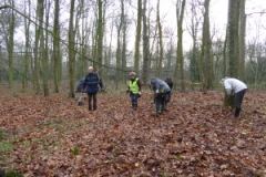 2016 feb 13 Bramen uittrekken