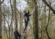 2016 maart 14 nestkastjes ophangen
