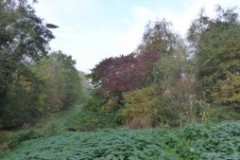 2016 nov 5 start heemtuin