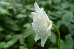 P1160059