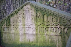 DSCF1911