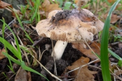 ©Titi. 23 oktober 2012 5