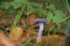 DSC04719