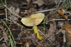 DSC08636