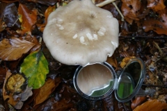 DSC08769