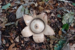 DSC09304