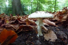 P1200950