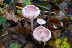 P1210343