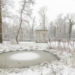 vier foto's